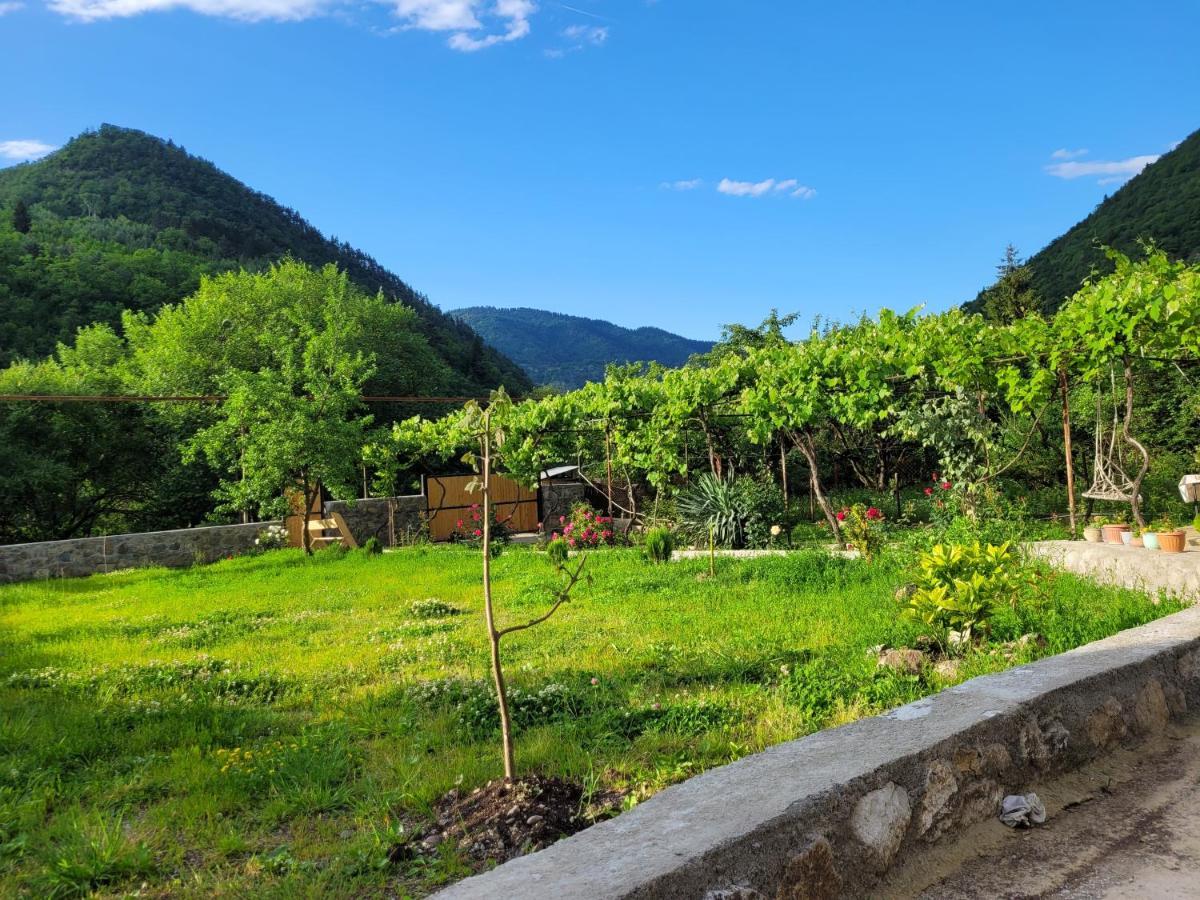 Family Hotel Mountain Panorama Borjomi Exterior photo