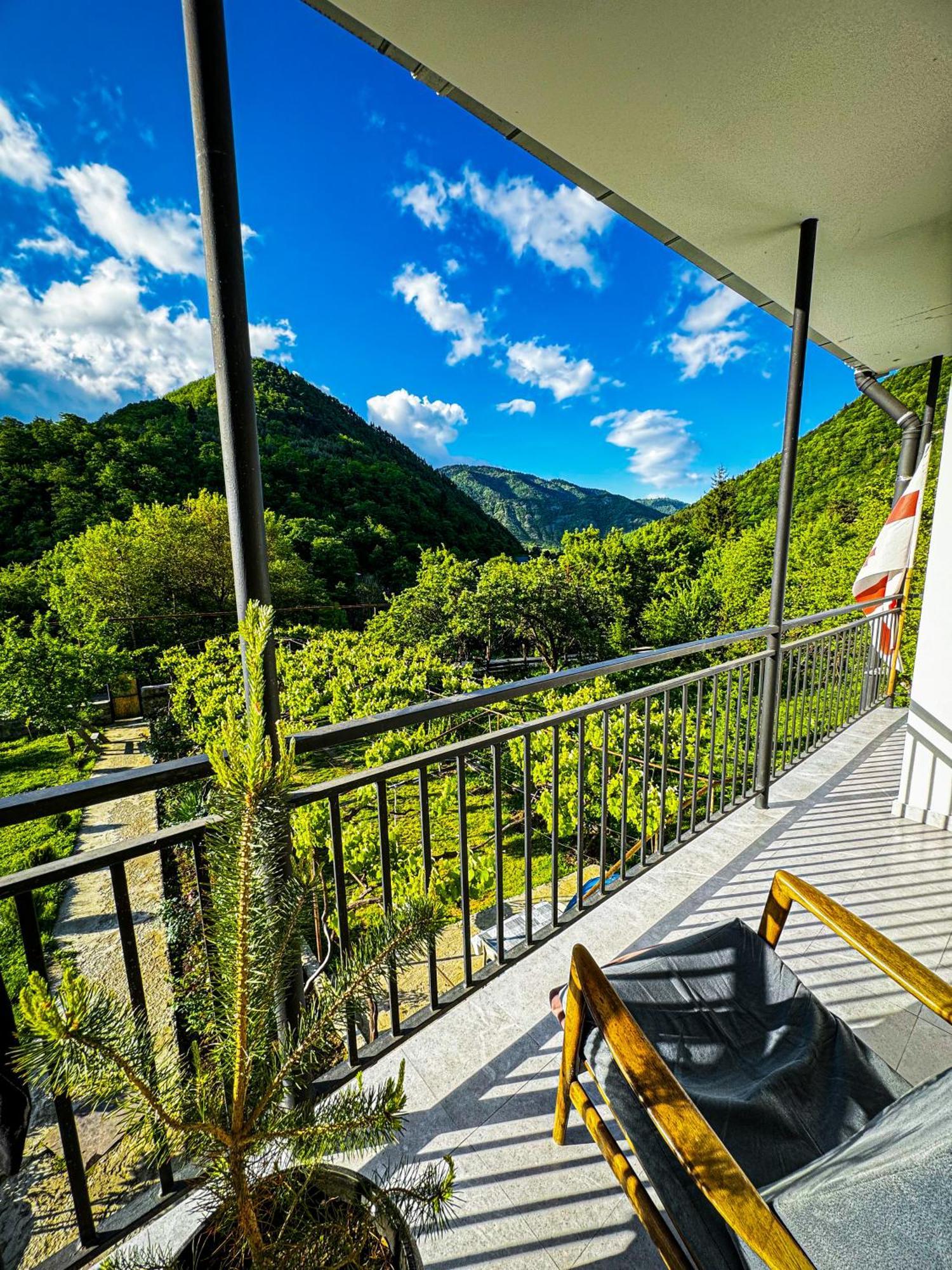 Family Hotel Mountain Panorama Borjomi Exterior photo